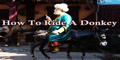 How To Ride A Donkey