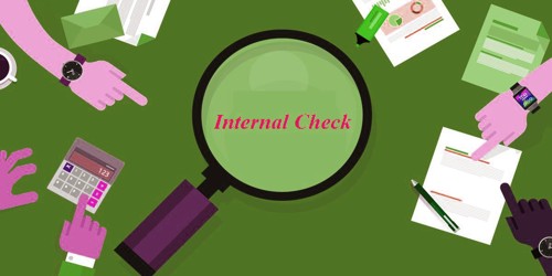 Concept of Internal Check