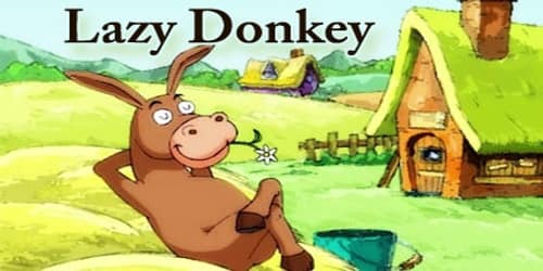 Lazy Donkey