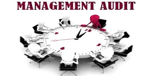 Advantages and Disadvantages of Management Audit