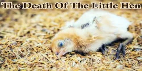 The Death Of The Little Hen