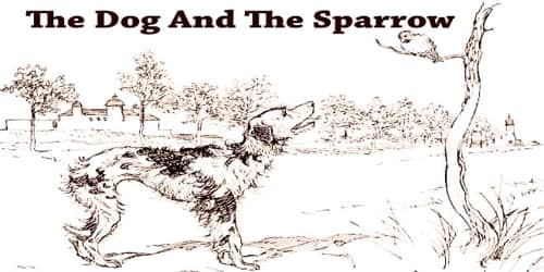 The Dog And The Sparrow
