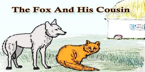 The Fox And His Cousin