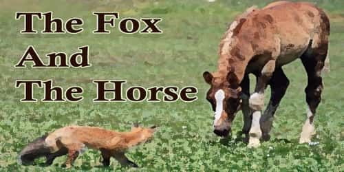 The Fox And The Horse