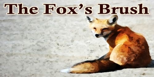 The Fox’s Brush