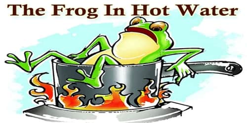 The Frog In Hot Water