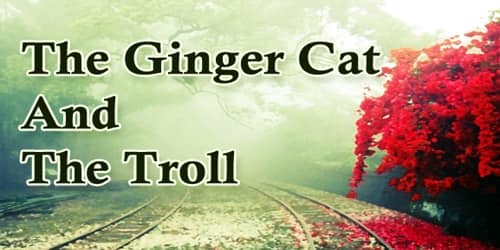 The Ginger Cat And The Troll