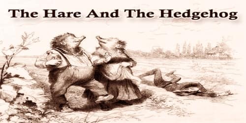 The Hare And The Hedgehog