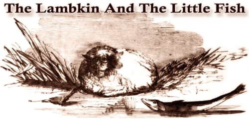 The Lambkin And The Little Fish