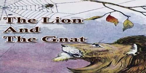 The Lion And The Gnat