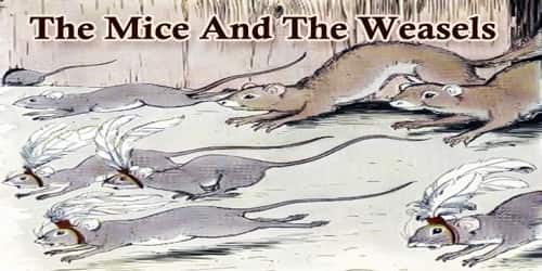 The Mice And The Weasels