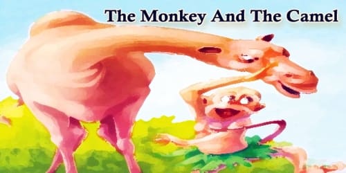 The Monkey And The Camel