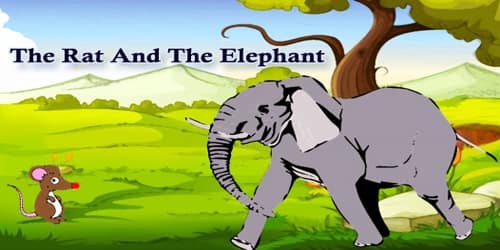 The Rat And The Elephant