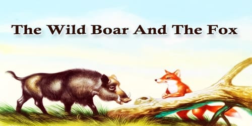 The Wild Boar And The Fox