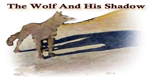 The Wolf And His Shadow