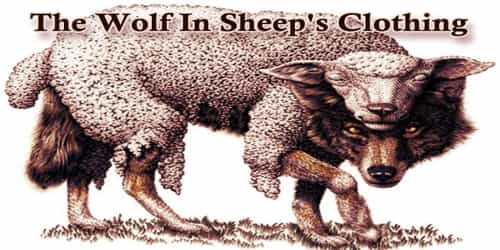 The Wolf In Sheep’s Clothing