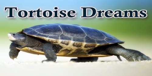Tortoise Dreams