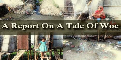 A Report On A Tale Of Woe