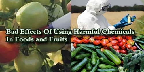 A Report On Bad Effects Of Using Harmful Chemicals In Foods and Fruits