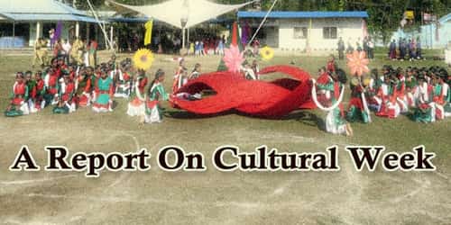 A Report On Cultural Week Held At (Name Of Institution)………School/ College