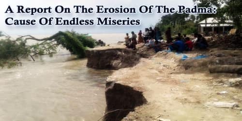 A Report On The Erosion Of The Padma: Cause Of Endless Miseries