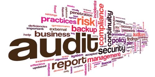 Disadvantages of Cost Audit