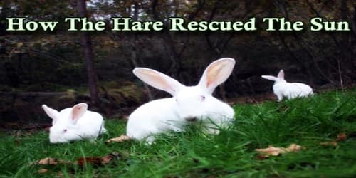 How The Hare Rescued The Sun