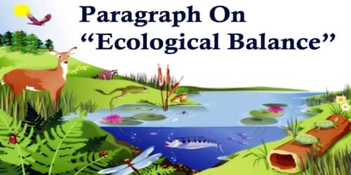 Paragraph On Ecological Balance