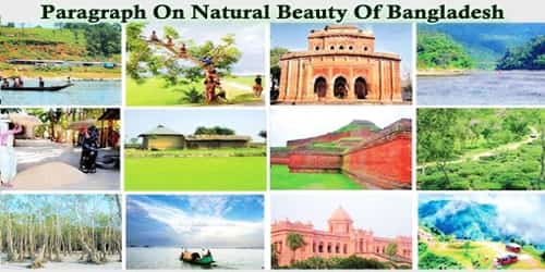 Paragraph On Natural Beauty Of Bangladesh