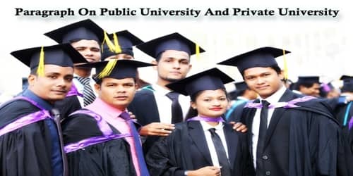 Paragraph On Public University And Private University