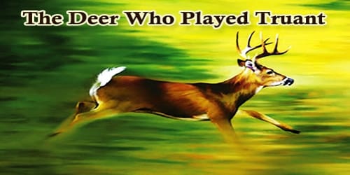 The Deer Who Played Truant
