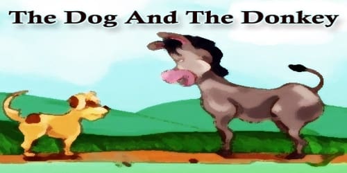 The Dog And The Donkey