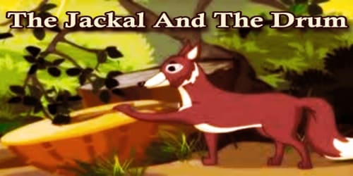 The Jackal And The Drum