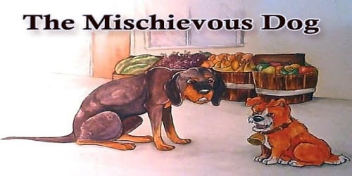 The Mischievous Dog