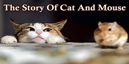The Story Of Cat And Mouse