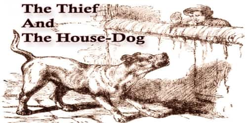 The Thief And The House-Dog