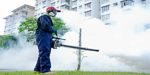 When the Wealth Authorities carried out Fogging against Mosquitoes