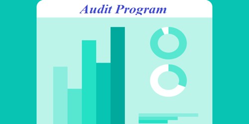 Advantages of Audit Program