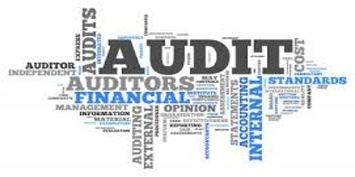 Advantages of Audit