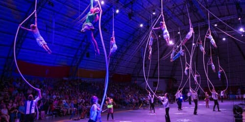 Letter to Friend about a Circus Performance you have experienced