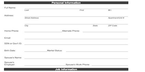 Sample Format Employee Biodata Form for Hiring