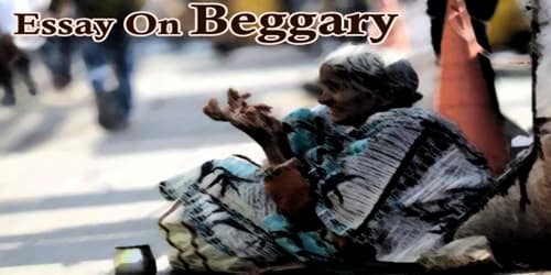 Essay On Beggary