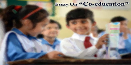 Essay On Co-education