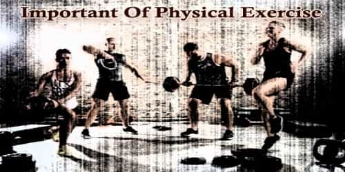 Essay On Important Of Physical Exercise