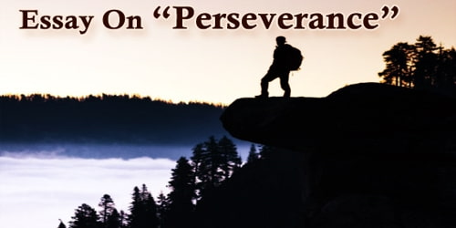 Essay On Perseverance