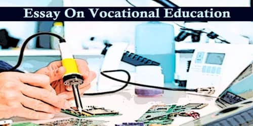 Essay On Vocational Education
