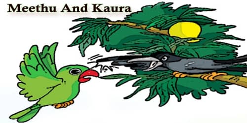 Meethu And Kaura