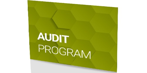 Objectives of Audit Programs