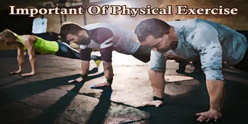 Paragraph On Important Of Physical Exercise