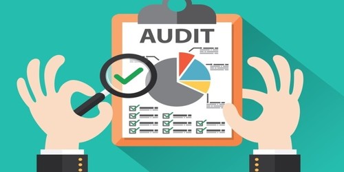 Primary Objectives of Audit